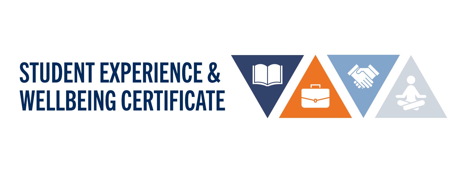 Student experience and wellbeing certificate